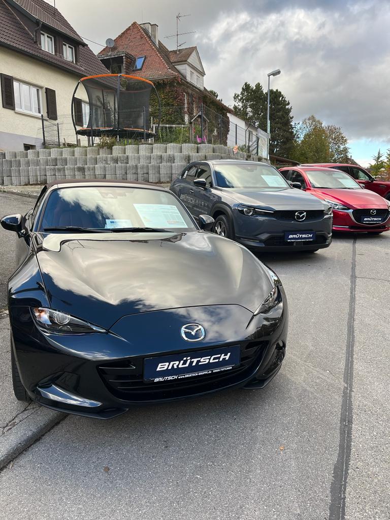 Der 733. SCHÄTZELEMARKT vom 27.10. bis 30.10.2023